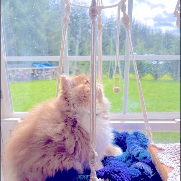 Hp🐾 🐈‍⬛Uniquely Handcrafted Stylish »-»Bohemian«-« Macramé Artistry Pet Beds🆕 - Picture 10 of 16